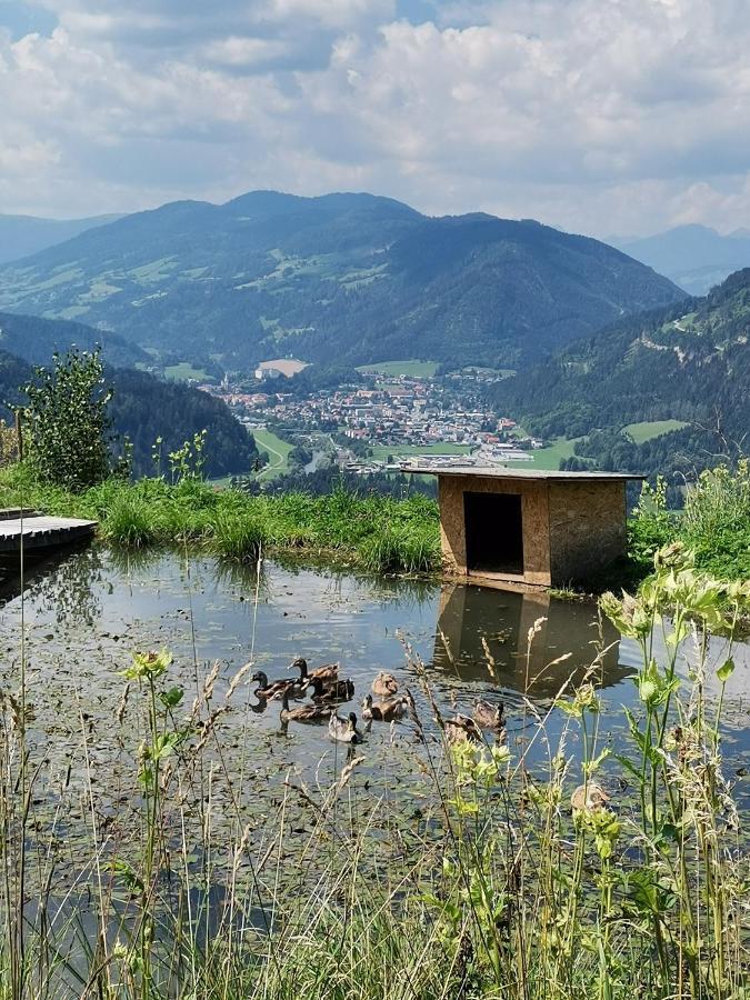 Rainerhof Apartment Murau Bagian luar foto